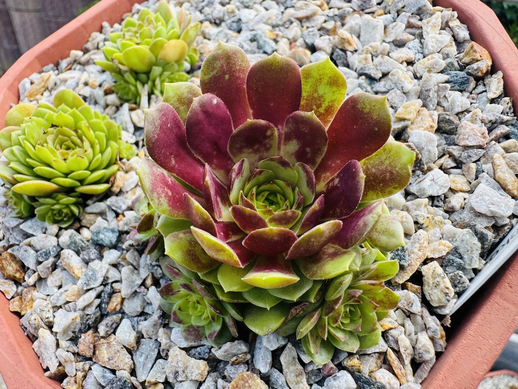 Copper Rockoon