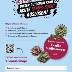 Gutschein